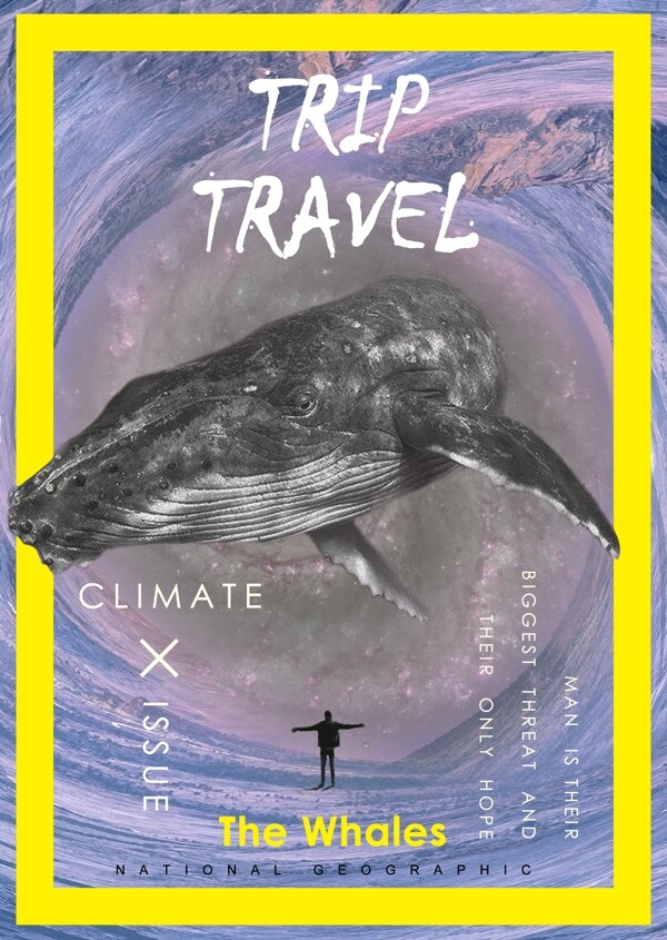 2017海报国家地理海报设计鲸鱼旅游杂志极坐标PSD模板