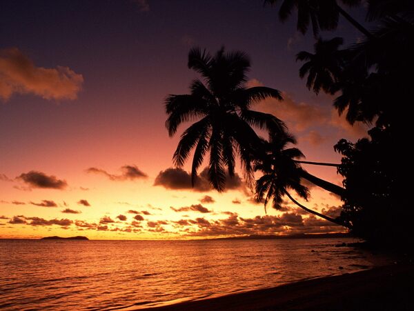 夕阳海滩涂图片
