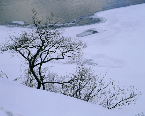 冬天雪景雪景大雪