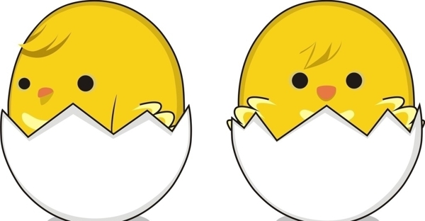 蛋壳小鸡图片