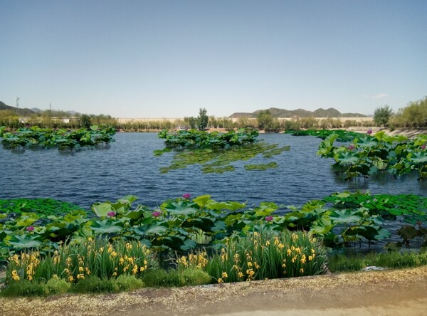 丽湖漫水桥上游