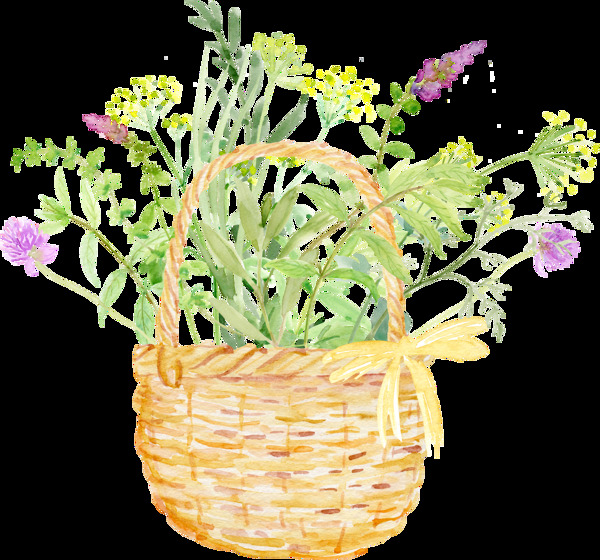 竹篮花卉卡通透明素材