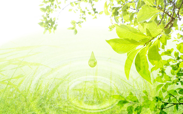 绿色自然水滴树叶清水图片