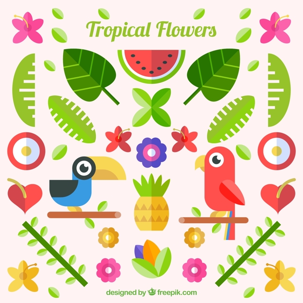 扁平化热带鹦鹉和植物矢量