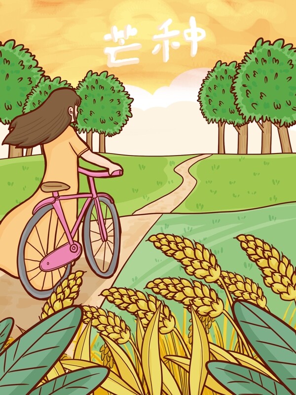 二十四节气芒种季节女孩骑自行车在麦田路上
