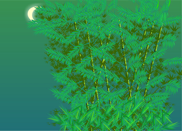 月光下的凤尾竹图片