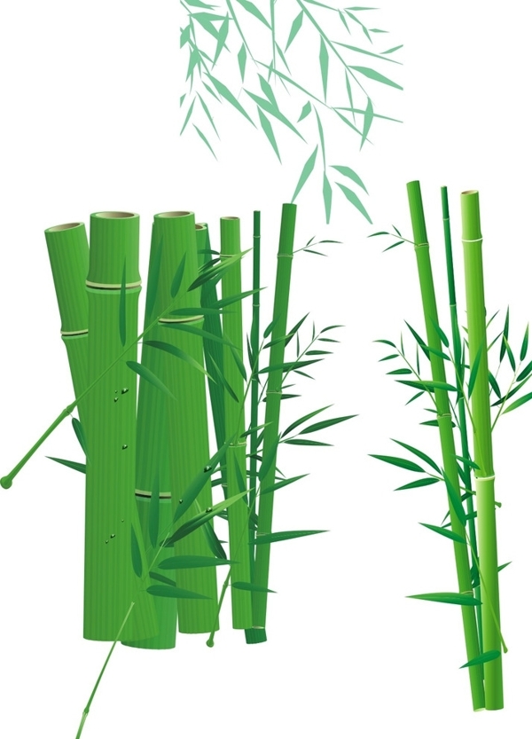 矢量绿色竹子竹叶