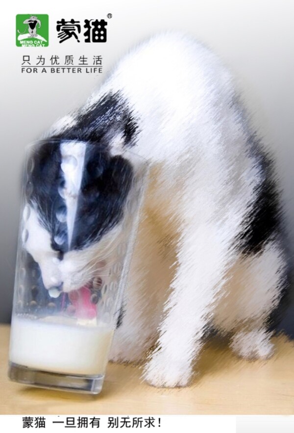 创意宠物饮品系列蒙猫牛奶