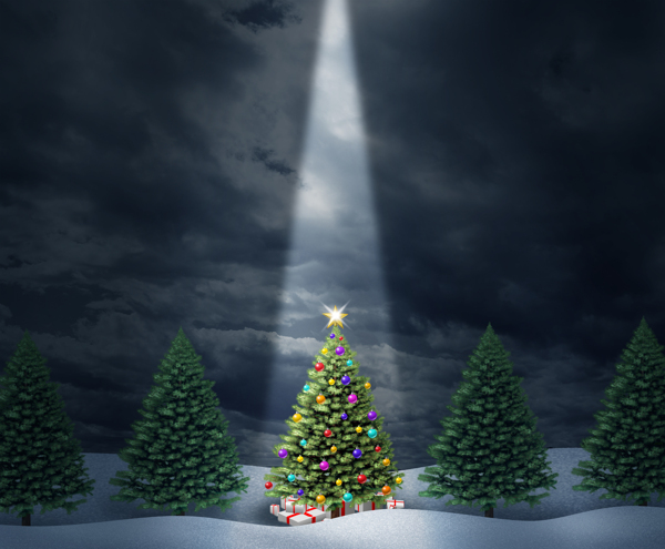 聚光灯下的圣诞树图片