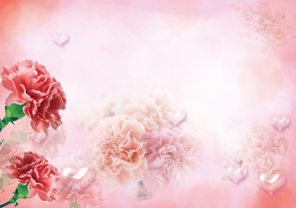 粉红康乃馨母亲节背景图