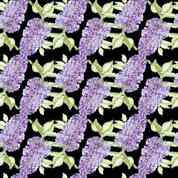 紫色迷人薰衣草透明素材