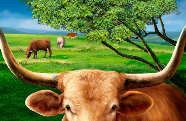 绿色草地上的牛