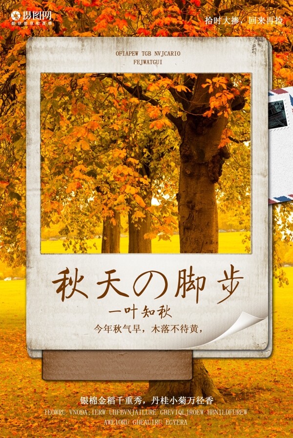 一叶知秋季节海报