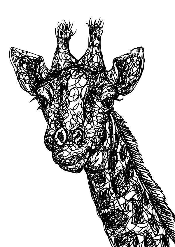 插画长颈鹿图片