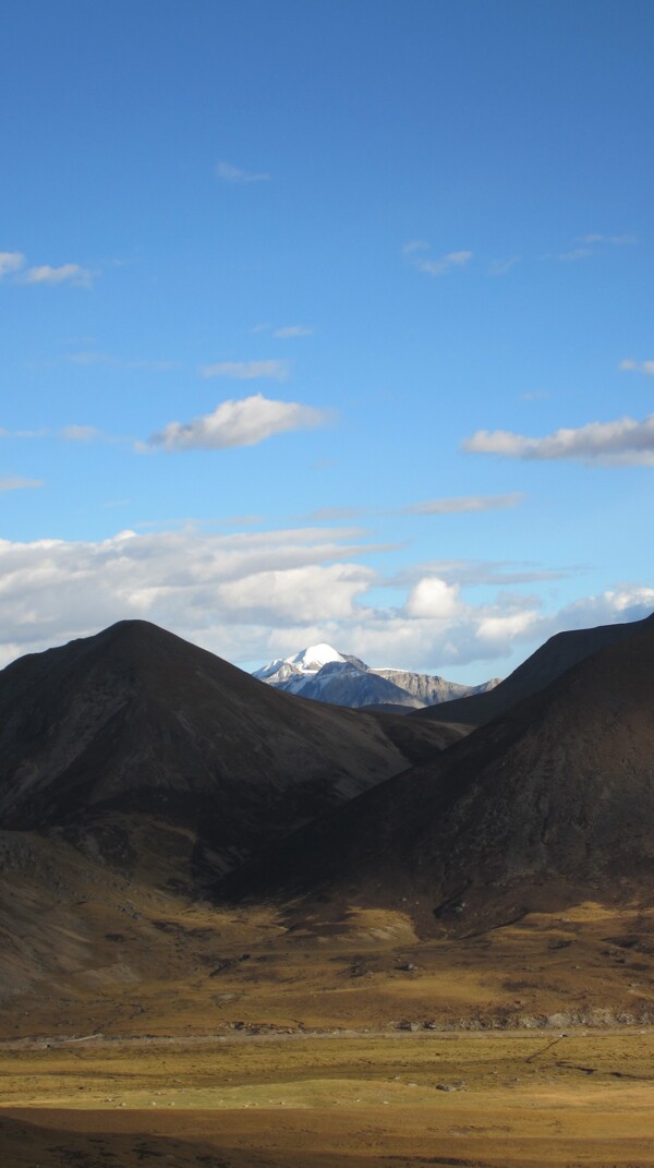 米拉山口风景图片