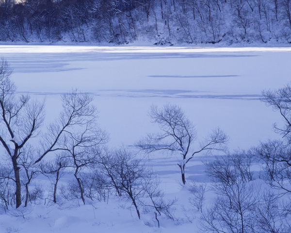 冬天雪景雪景大雪