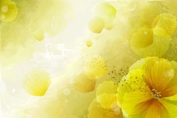 花朵花瓣渐变黄色大自然清新高清大图背景