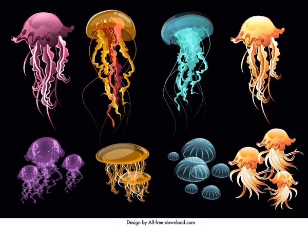 彩色透明水母图片