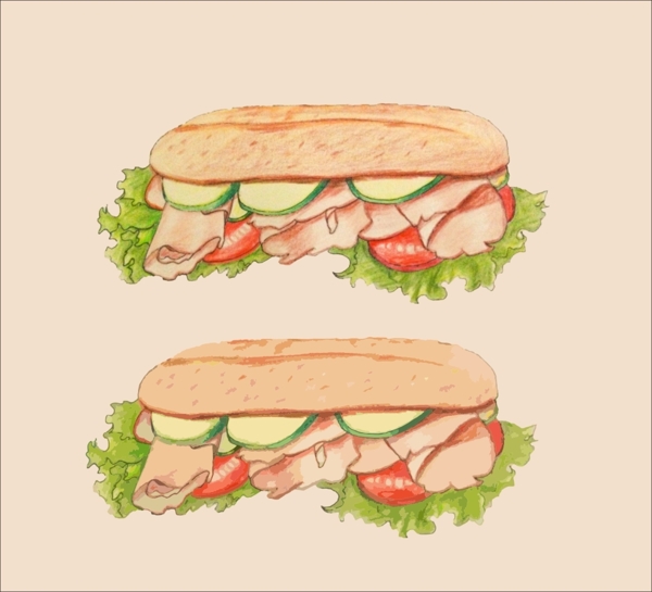 三明治美食插画手绘