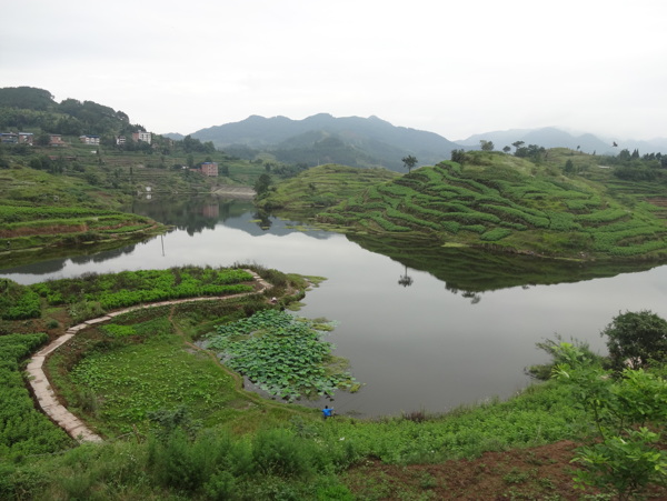 风景照片图片