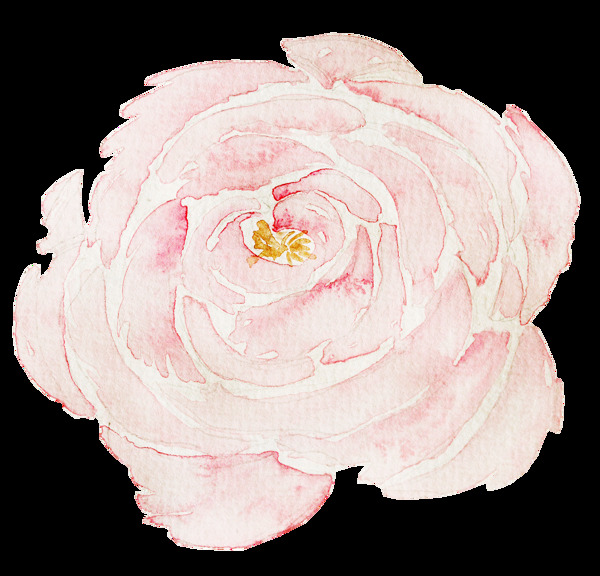 传统粉色花卉卡通透明素材