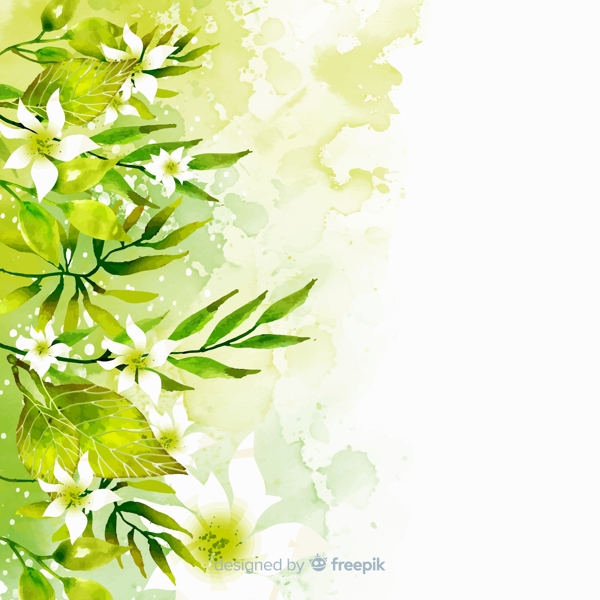 绿色树叶白色花卉图片