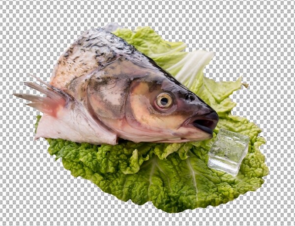 鱼头图片