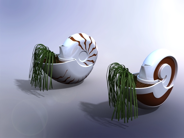 鹦鹉螺花盆水壶