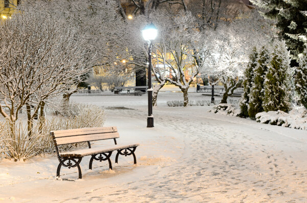 雪地上的长椅和树木雪景图片