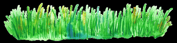 葱绿草丛透明装饰素材