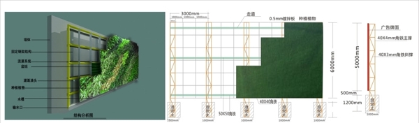 植物墙结构