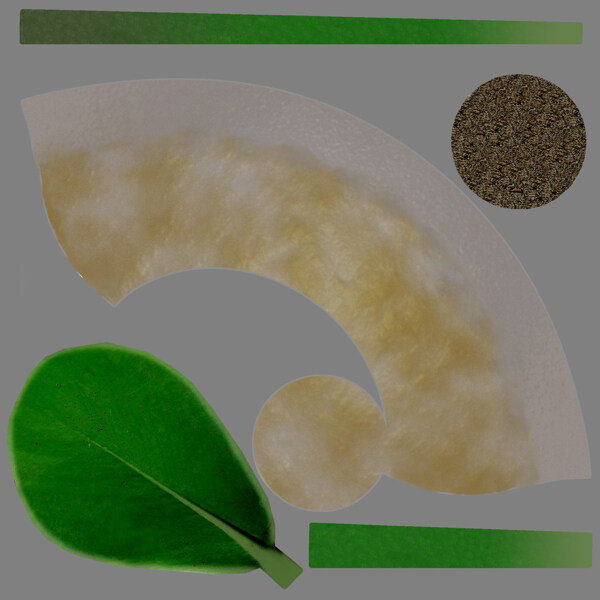 半圆形叶子绿色盆栽模型素材
