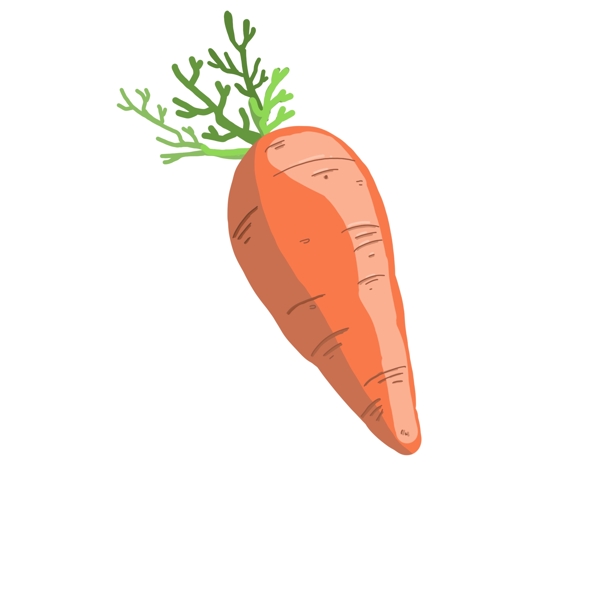 食材蔬菜胡萝卜