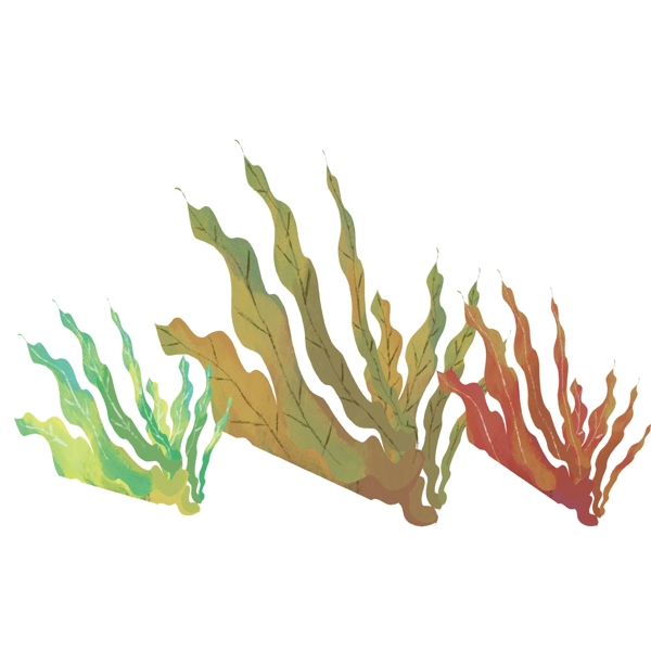 水彩植物装饰PNG免抠图