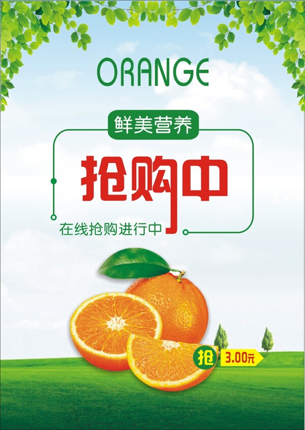 健康绿色橘子