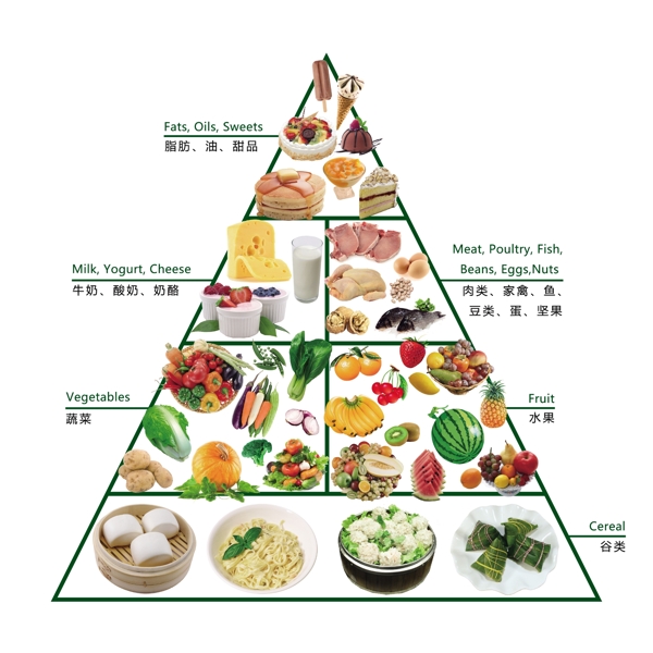 健康营养饮食结构图图片