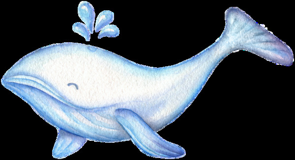 蓝白海豚透明装饰素材