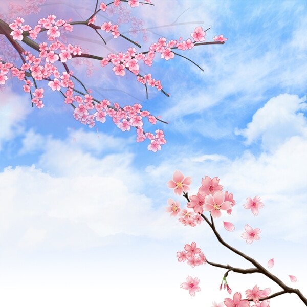 粉色桃花春季主图背景