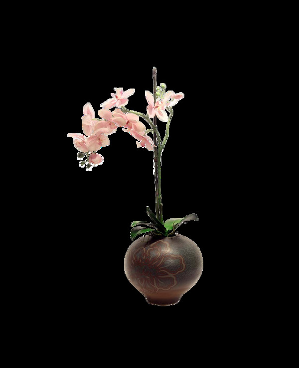 简约陶器花朵元素