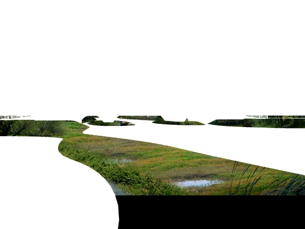 河边沼泽自然公园图片