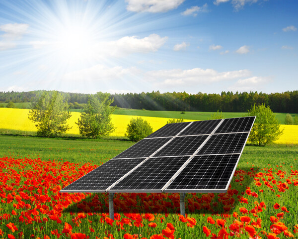 花丛里的太阳能电池板图片