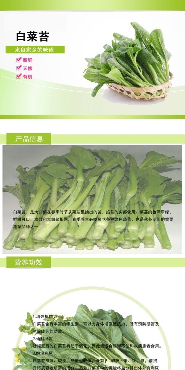 白菜苔详情页图片