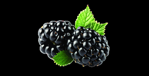 黑莓水果图片免抠png透明图层素材