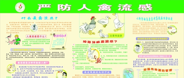 禽流感的预防知识宣传栏图片