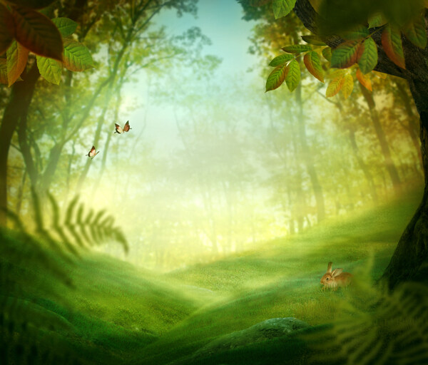 森林蝴蝶小兔子草地图片