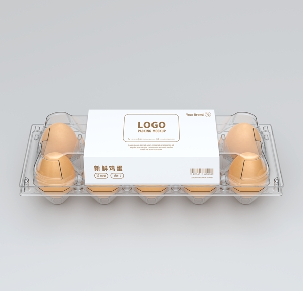 鸡蛋包装样机
