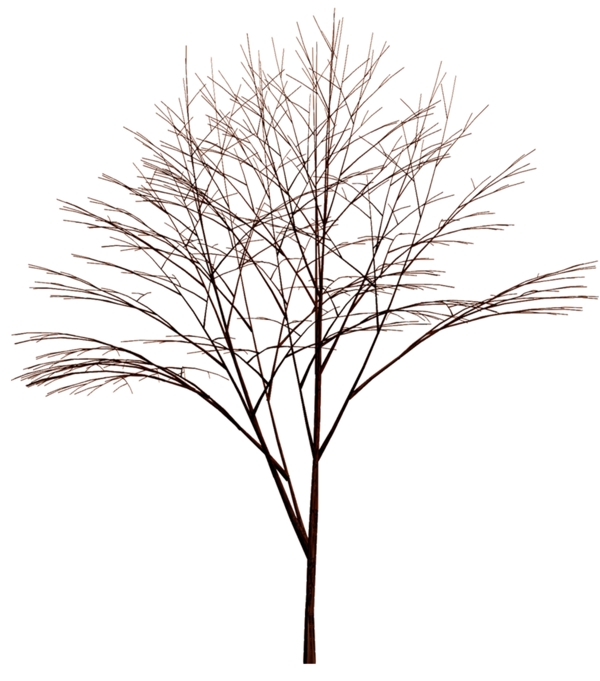 树贴图素材分层PSD113