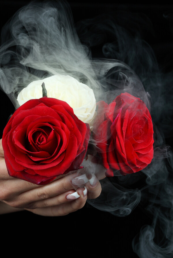 指甲美容玫瑰花动感烟雾图片