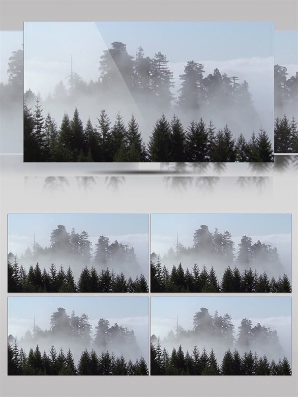 云雾里的丛林景音效