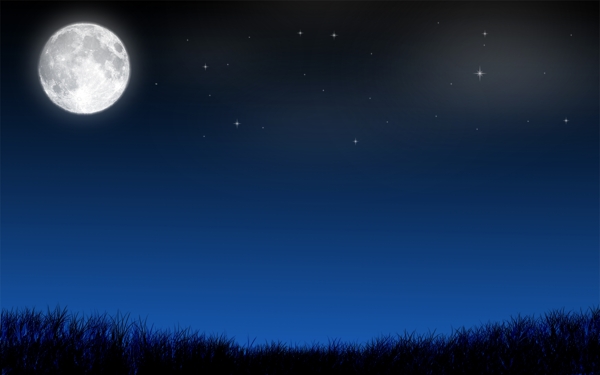月夜草原